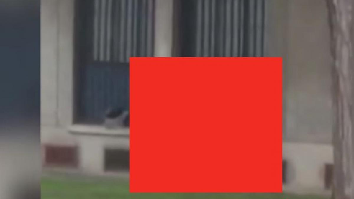 un student la medicina a surprins un cuplu infierbantat care facea sex chiar in curtea unui spital