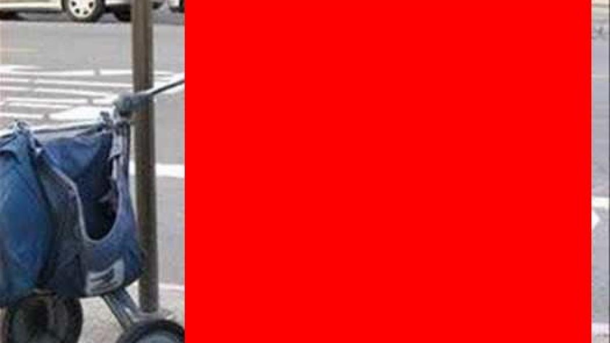 cum a fost surprins acest postas pe strada oamenii i au facut imediat poze