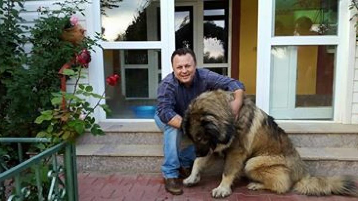 momente grele pentru dragos dolanescu a fost sechestrat in casa