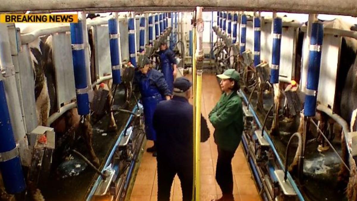 romania e aici romani care n au liber de 1 decembrie