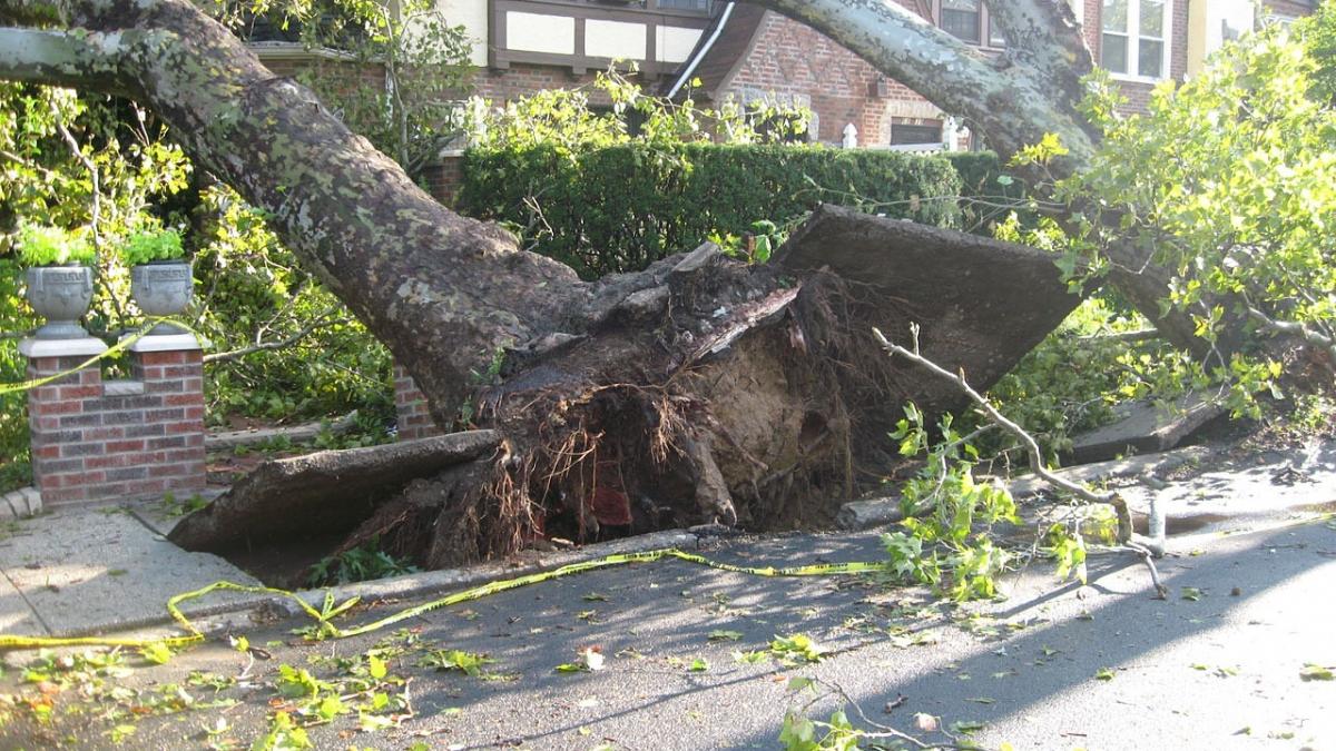 O tornadă le-a lovit orașul și a distrus tot ce i-a căzut în cale. Când salvatorii s-au apropiat de casa unei bătrâne au avut un șoc. ”E un miracol!”