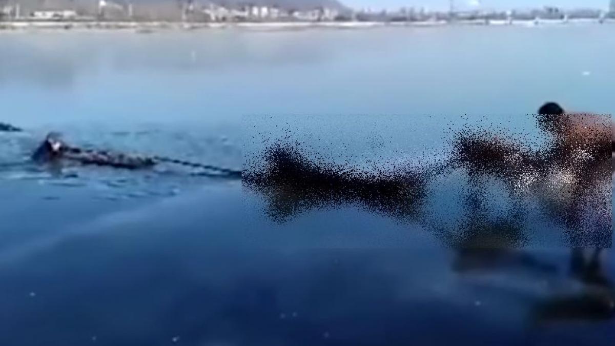 patina pe un lac inghetat cand ceva cumplit s a intamplat imaginile au fost filmate de un martor