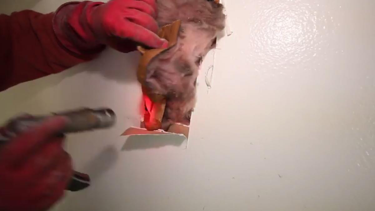 un tanar a facut o gaura in peretele casei sale cand a vazut ce acolo a sunat imediat dupa ajutor