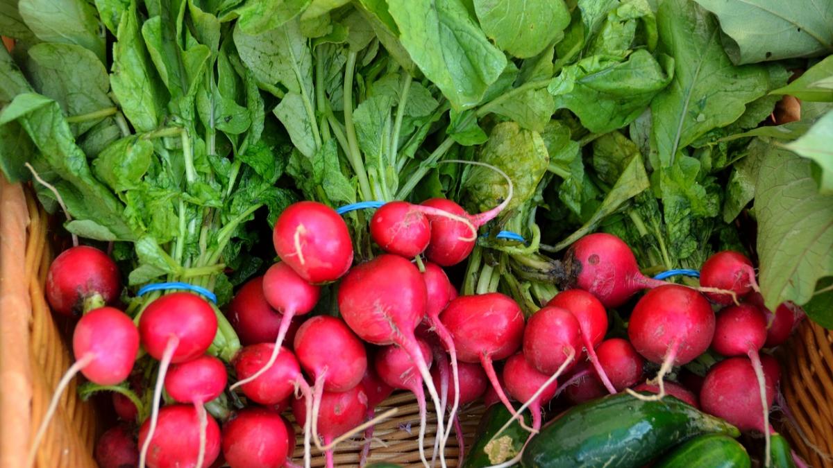 descoperirea care iti va deschide ochii cu privire la dietele vegane asta chiar schimba tot