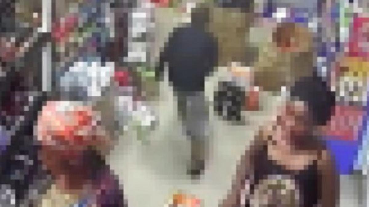 hoata ajutata de sapte copii sa dea lovitura intr un supermarket imagini ireale surprinse de