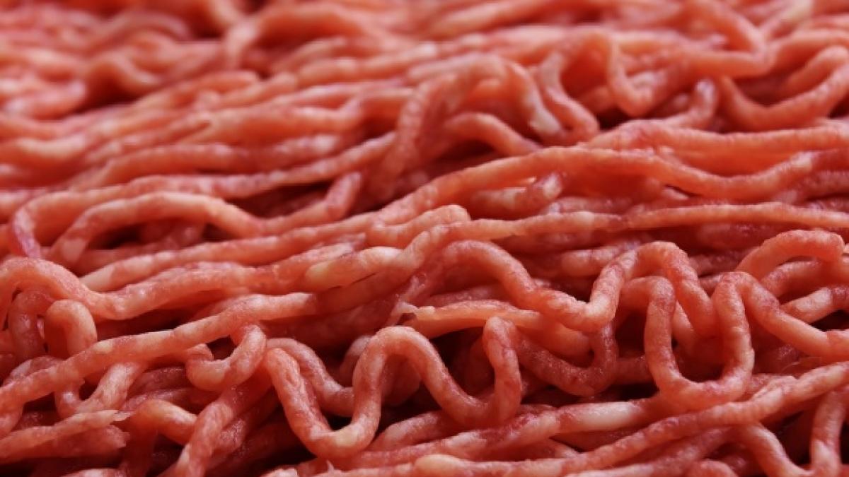 bacteria e coli a fost depistata in pasta de mici hamburgeri si carcasa de oaie