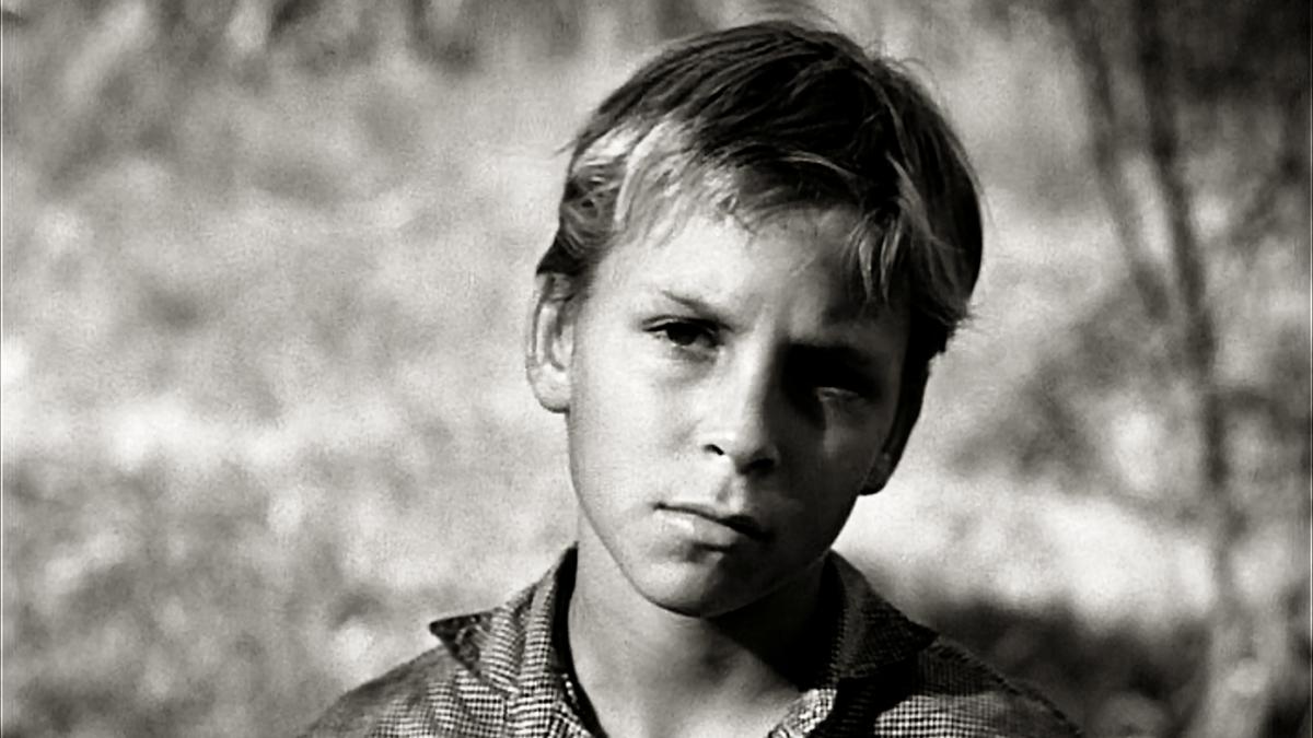 doliu in lumea filmului billy chapin copilul minune al hollywoodului in anii 50 a murit la 72 de ani