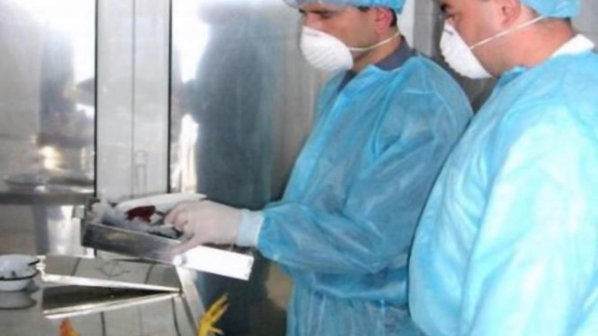 gripa aviara a fost confirmata in romania