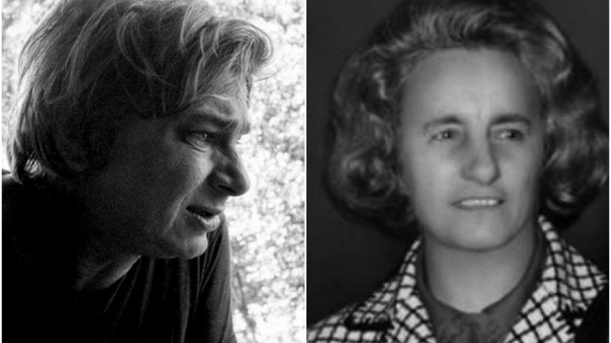 legatura nestiuta dintre nichita stanescu si elena ceausescu