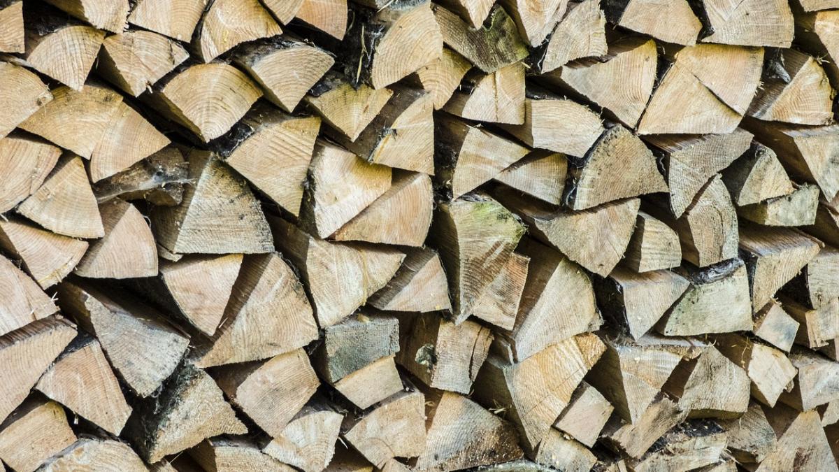 holzindustrie schweighfoer acuzata de comert ilegal cu lemn