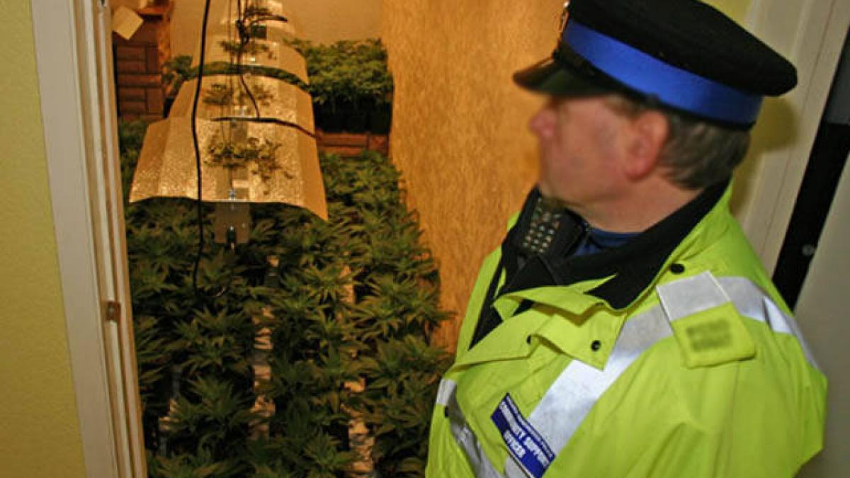 scandal urias in marea britanie sute de politisti sunt acuzati de fapte extrem de grave