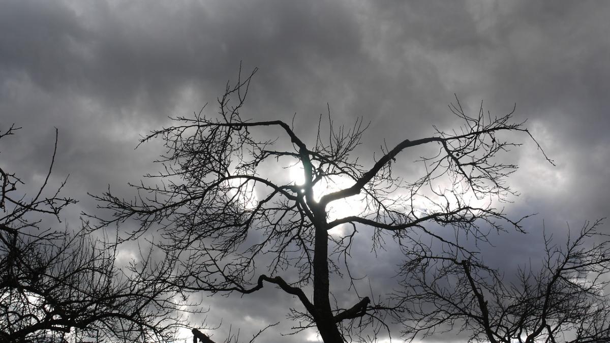 prognoza meteo pentru weekend