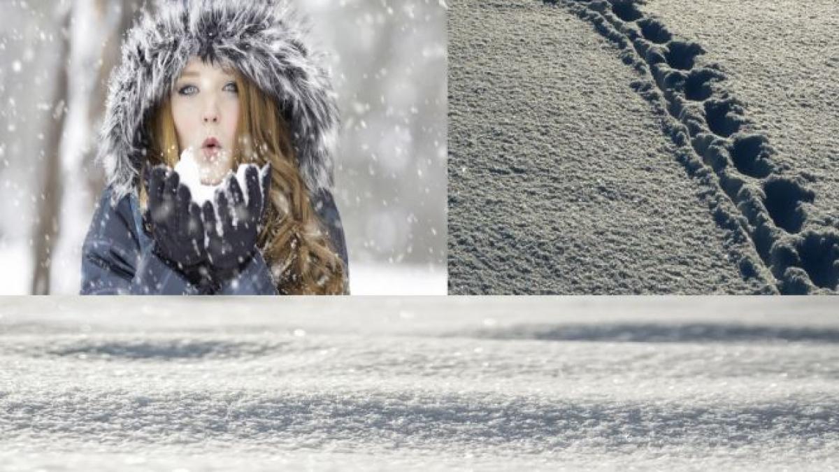 zapada de aproape jumatate de metru la sureanu si arieseni