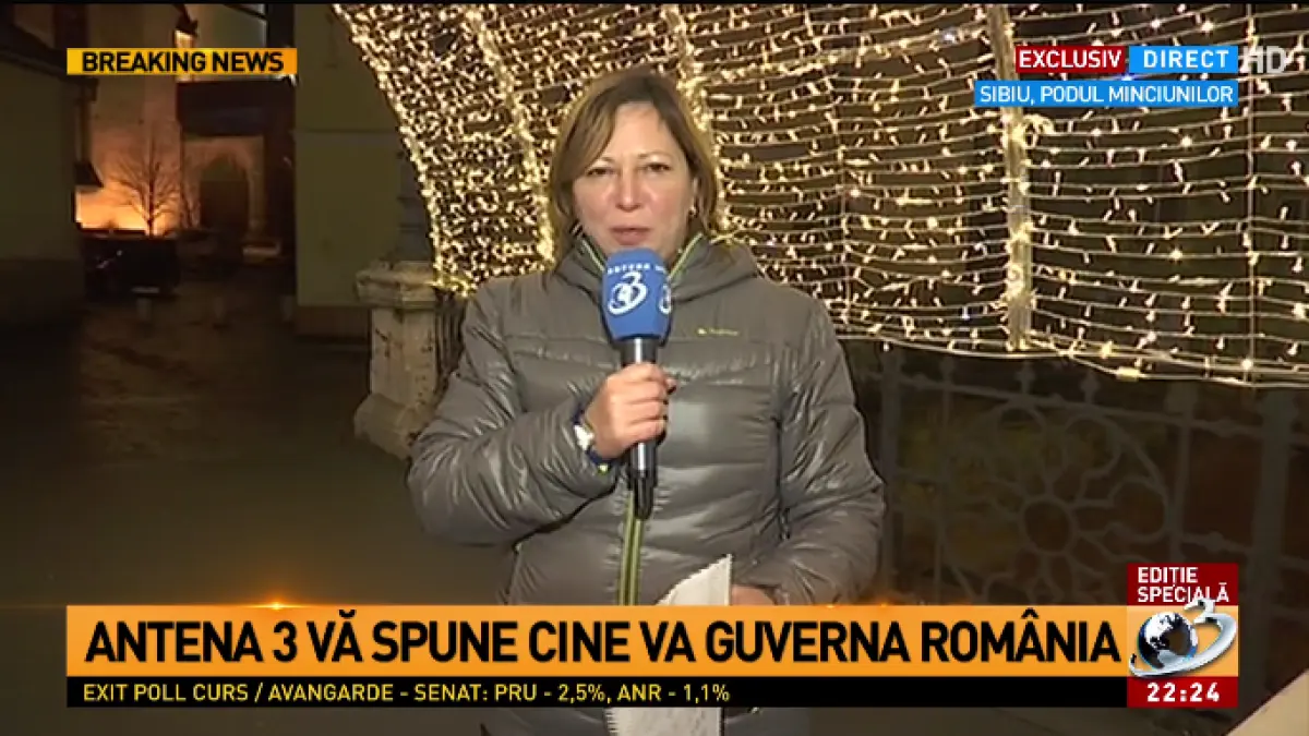 mirela voicu