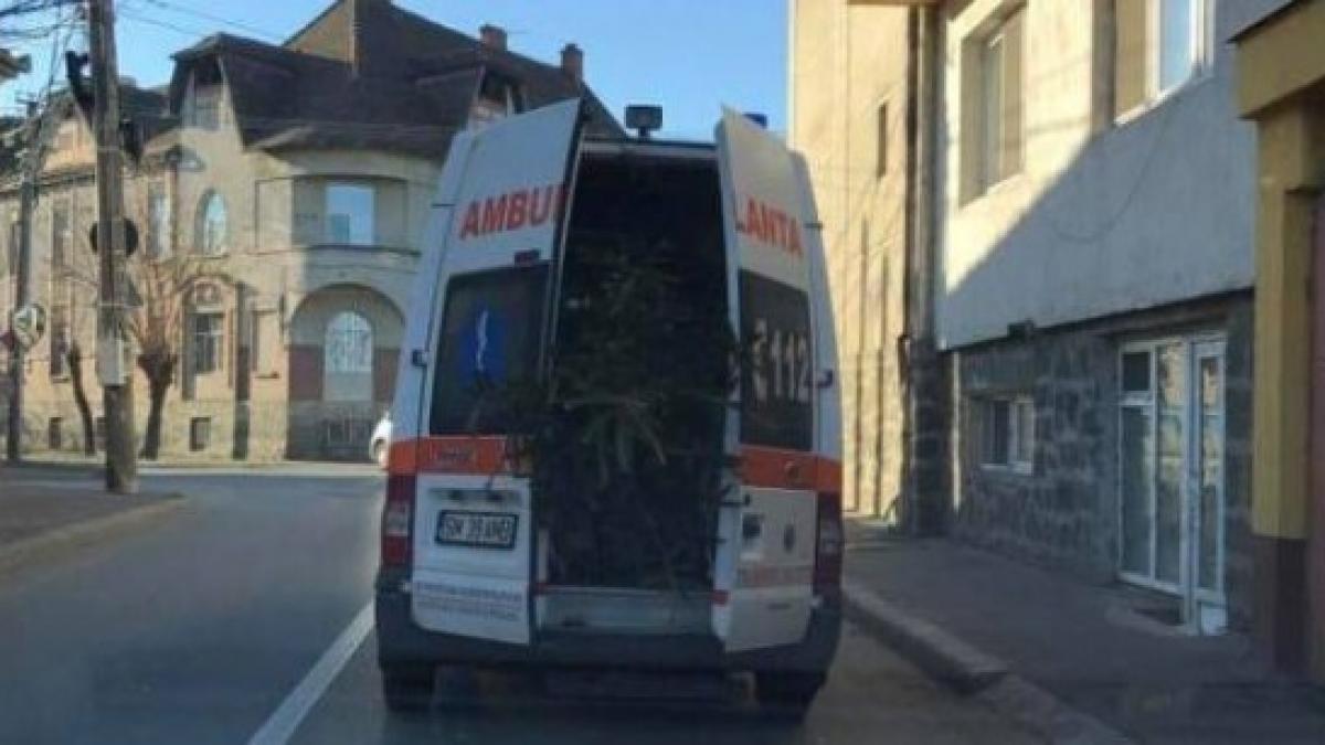 alo 112 veniti va rog moare bradul o ambulanta transporta un brad