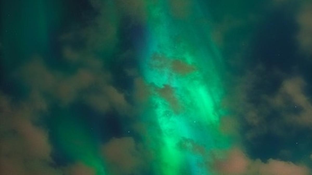 fenomen straniu in romania