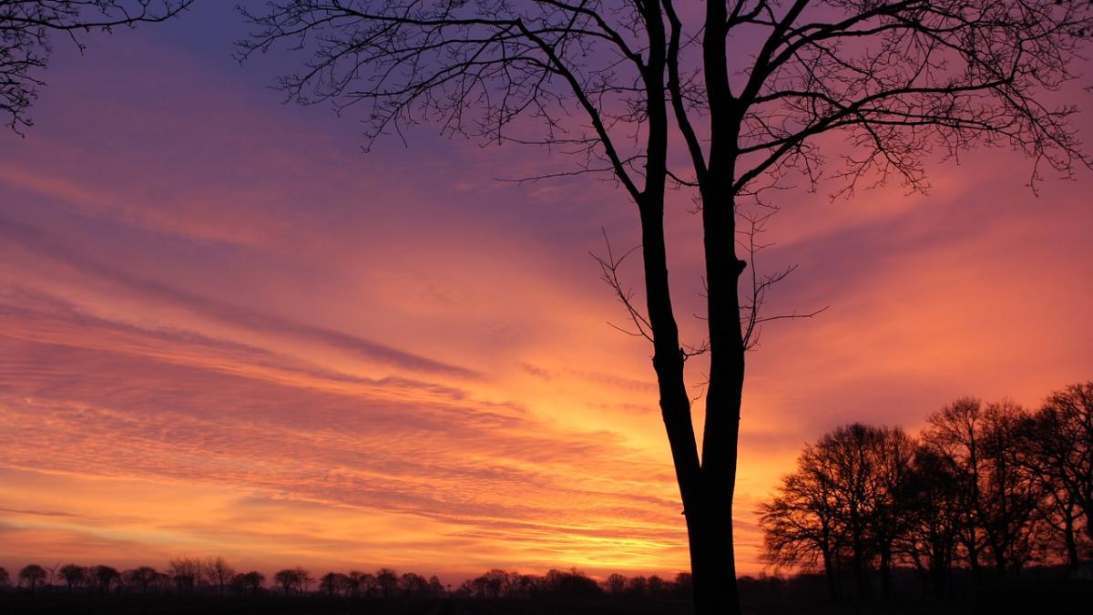 prognoza meteo pentru urmatoarele zile