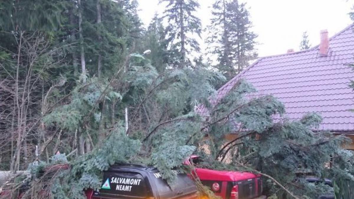 situatie de criza la serviciul salvamont din neamt un brad urias a distrus toata tehnica din dotare