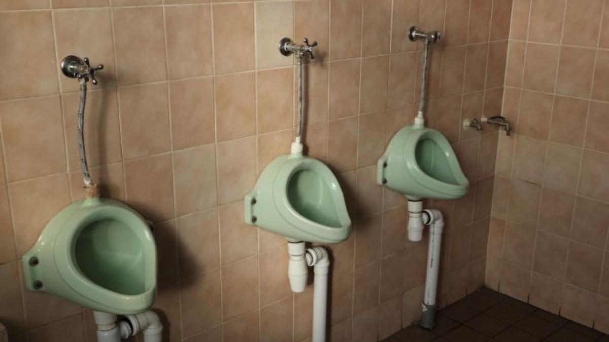 cele mai scumpe wc uri din tara vor fi construite in vrancea