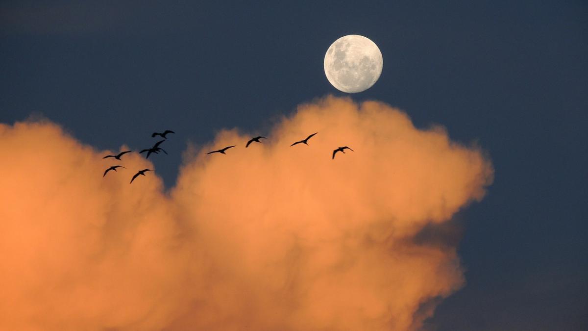 super luna din aceasta noapte este cea mai spectaculoasa cum ne afecteaza fenomenul