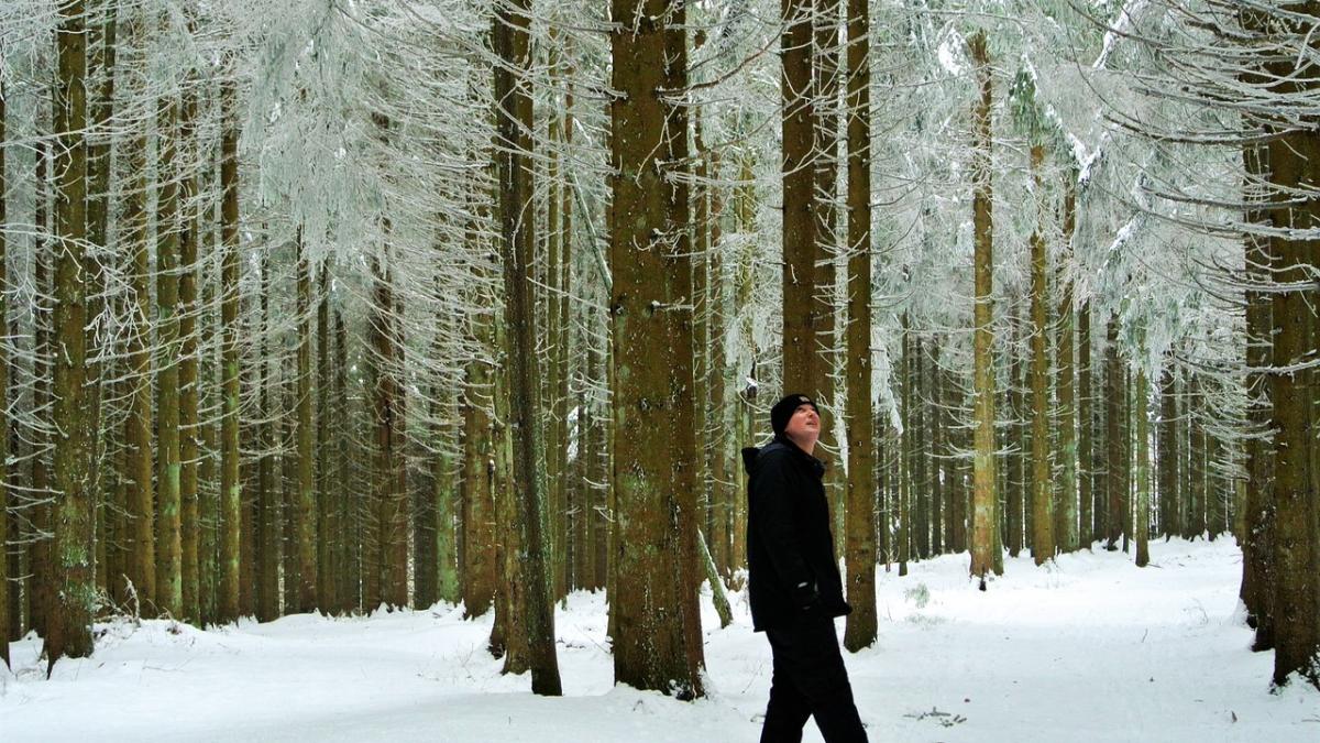 in rusia se lanseaza un show tv unde sunt permise crime violuri si lupte