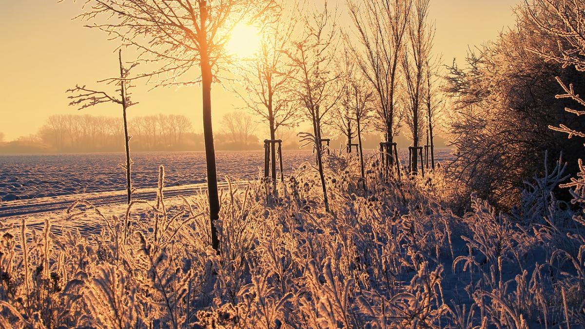 ultima sambata inainte de craciun sarbatoare mare pentru crestini