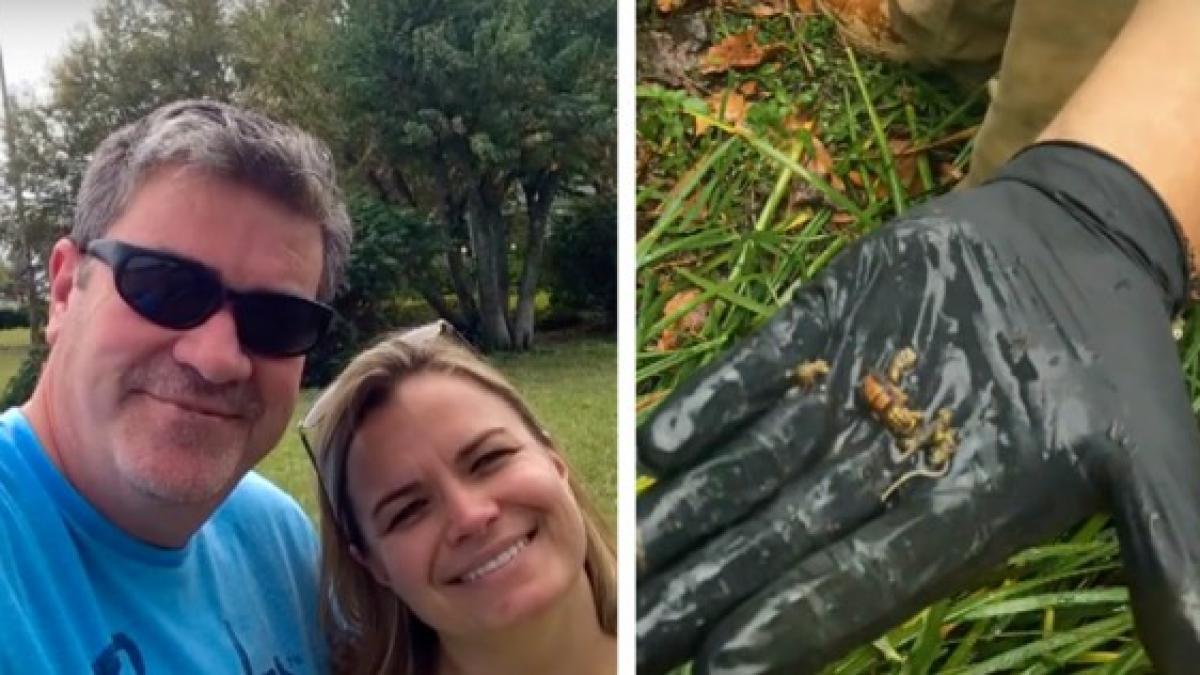 barbatul asta facea treaba in gradina o ora mai tarziu era mort iata care este motivul uluitor