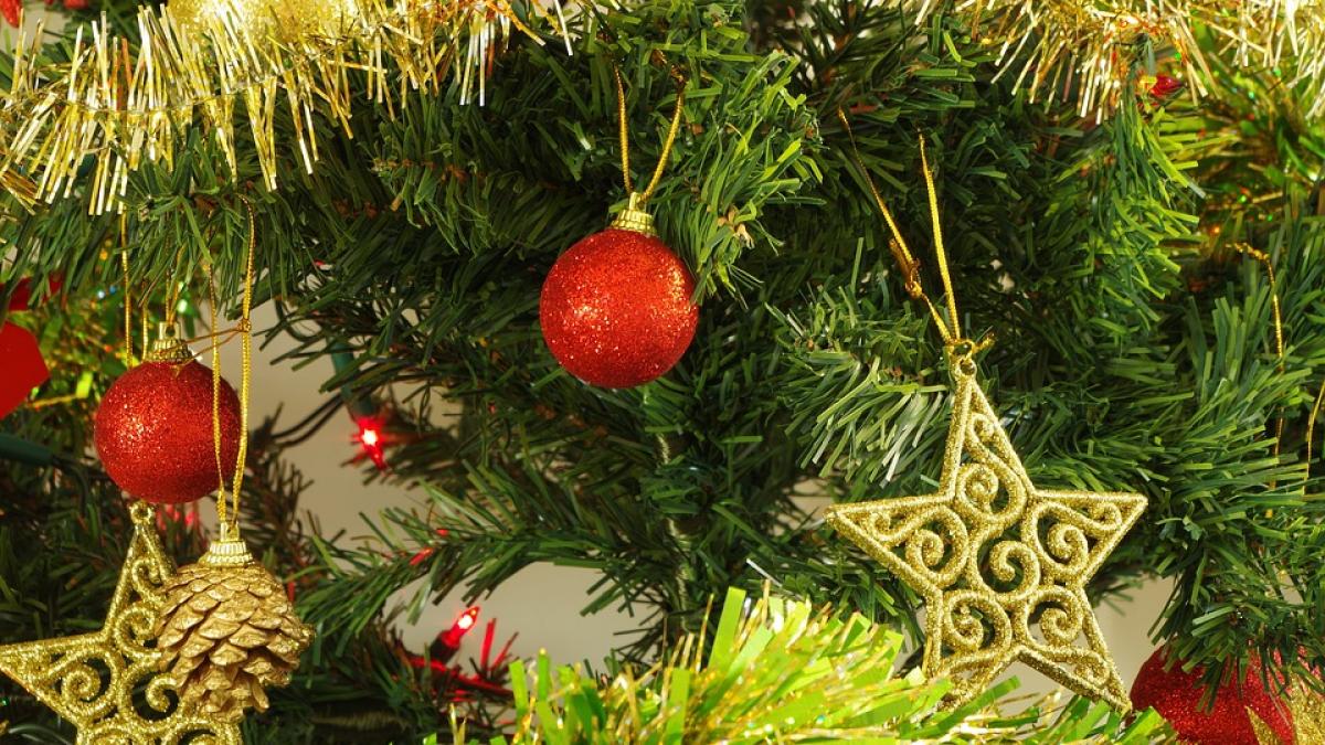 isi impodobea bradul cand a observat ceva miscandu se printre decoratiuni a inlemnit