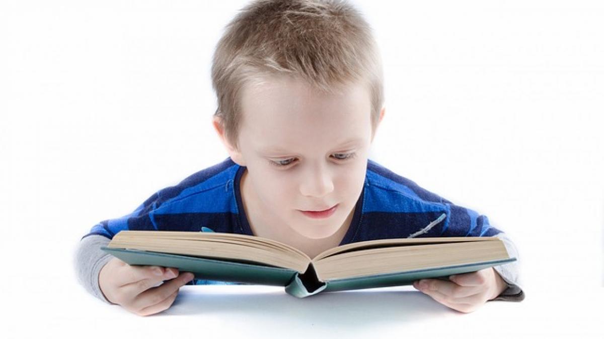 profesorii nu vor mai avea voie sa ofere meditatii private contra cost elevilor de la clasele la