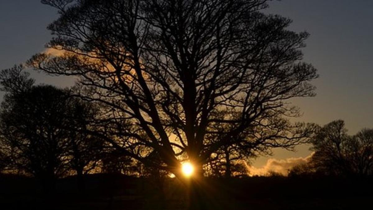 solstitiu de iarna 2016 cea mai lunga noapte din an are loc miercuri incepe iarna astronomica