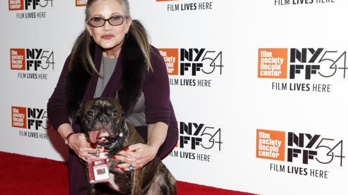 actrita carrie fisher a suferit un infarct in timpul unui zbor cu avionul