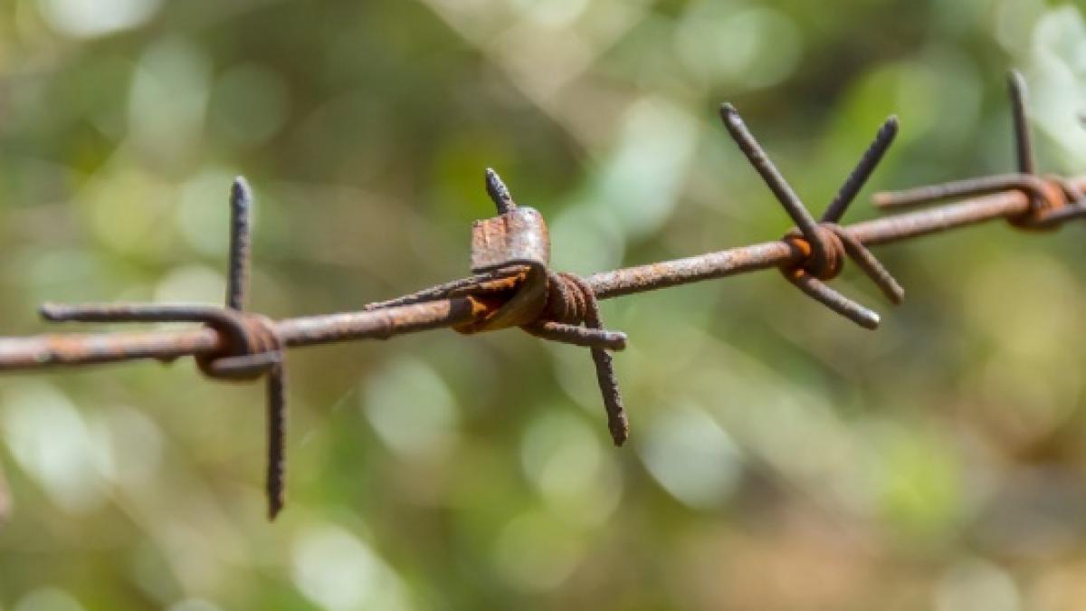 alerta la granita romaniei zece irakieni au incercat sa intre ilegal in tara noastra