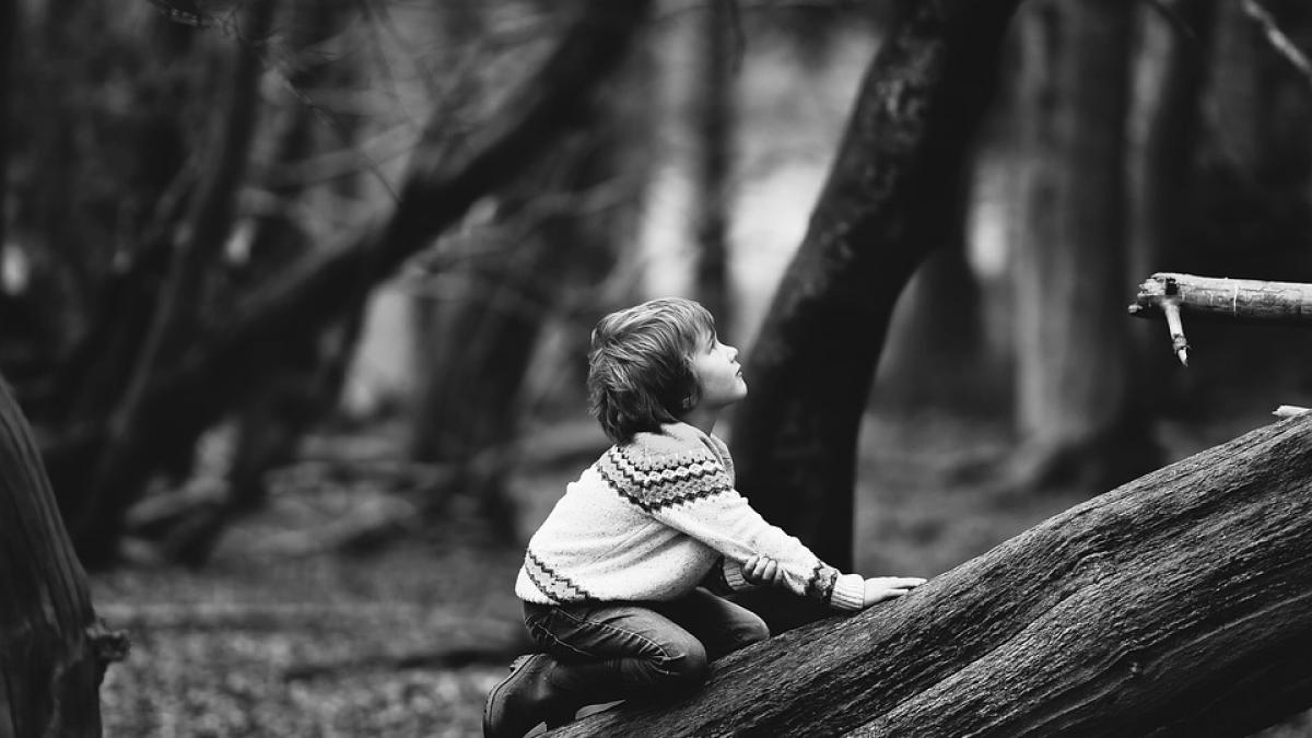 se plimba cu fiul sau cand deodata micutul a descoperit ceva incredibil tatal a scos telefonul si a