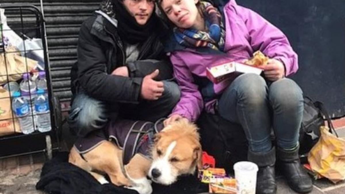 a vazut doi tineri care dormeau pe strada alaturi de cainele lor s a apropiat de ei