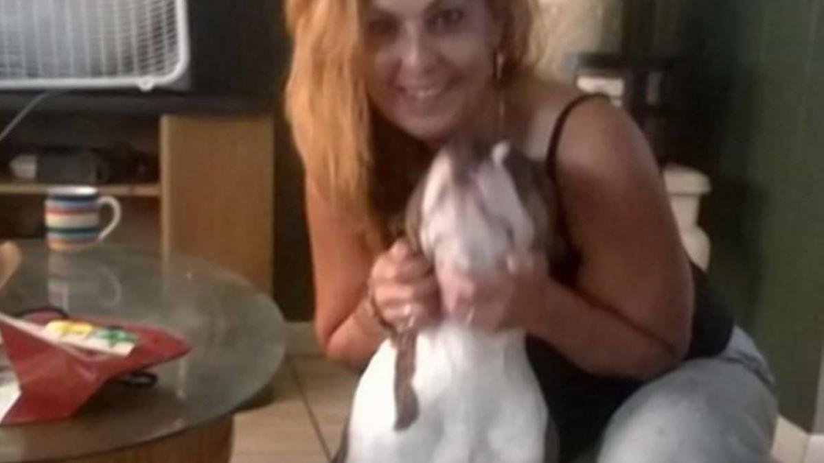 a incercat sa ii puna cainelui un pulover de craciun cateva momente mai tarziu cainele era plin de