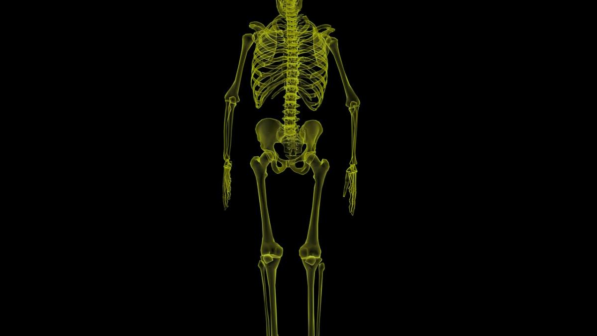 donarea de organe a devenit obligatorie in franta