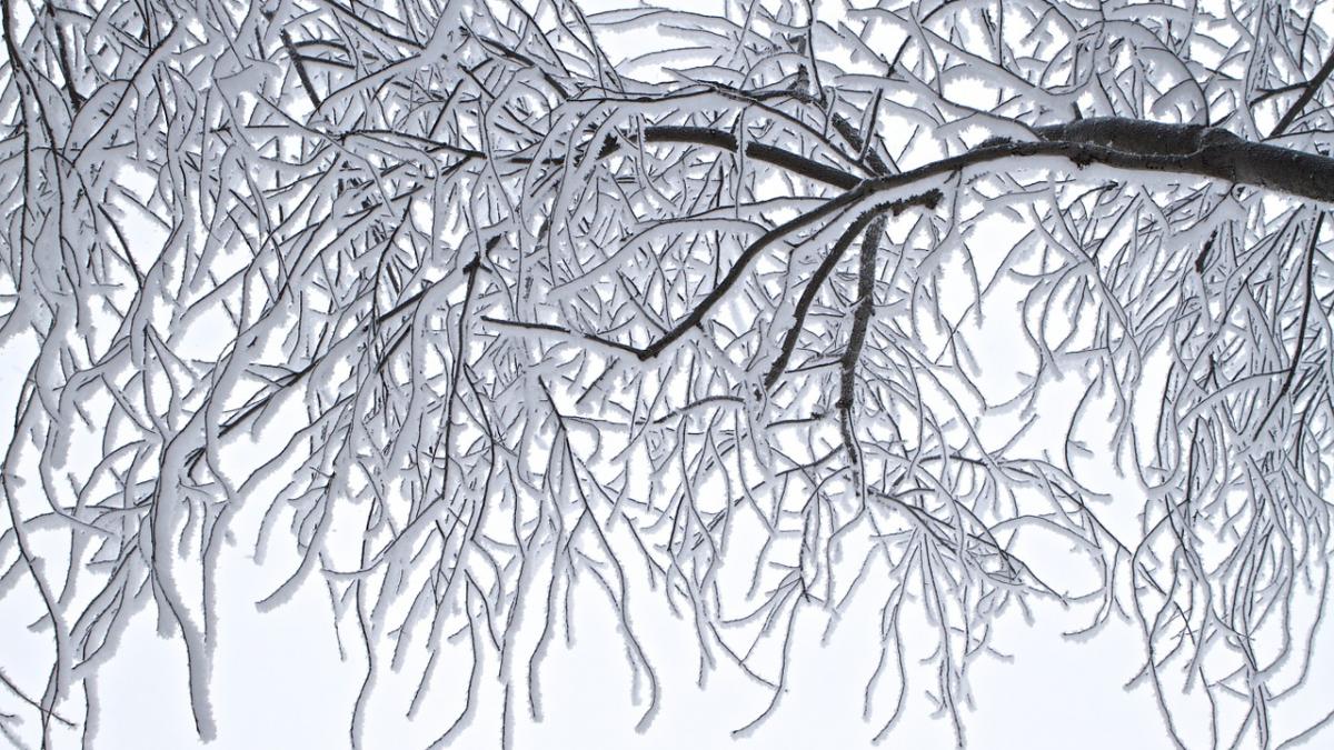 prognoza meteo pe urmatoarele doua saptamani un val de aer polar intra in romania