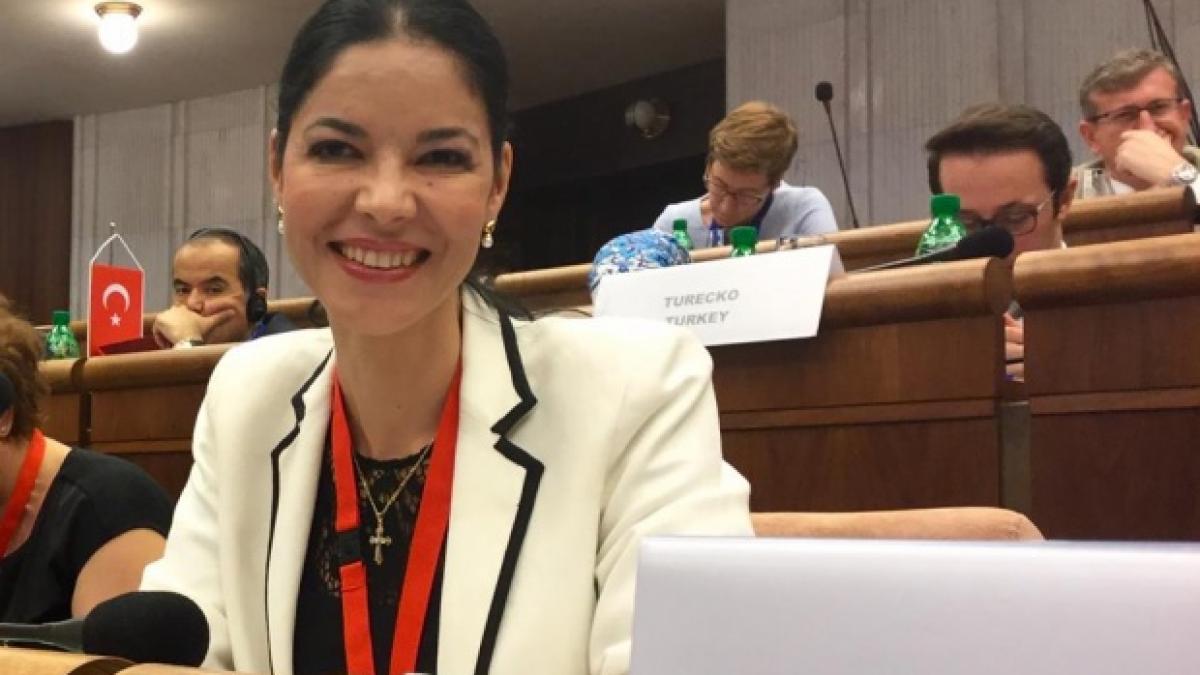 ana birchall ministru delegat pentru afaceri europene are investitii financiare in strainatate de