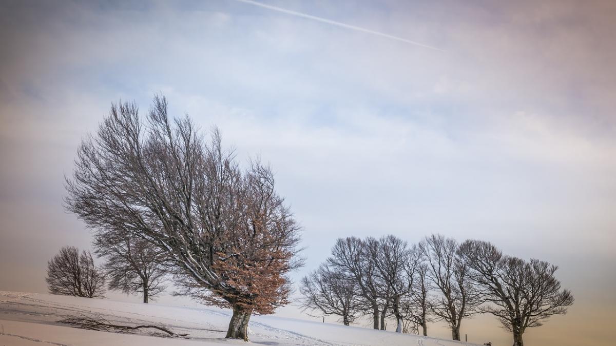 alerta meteo cod portocaliu de vant puternic