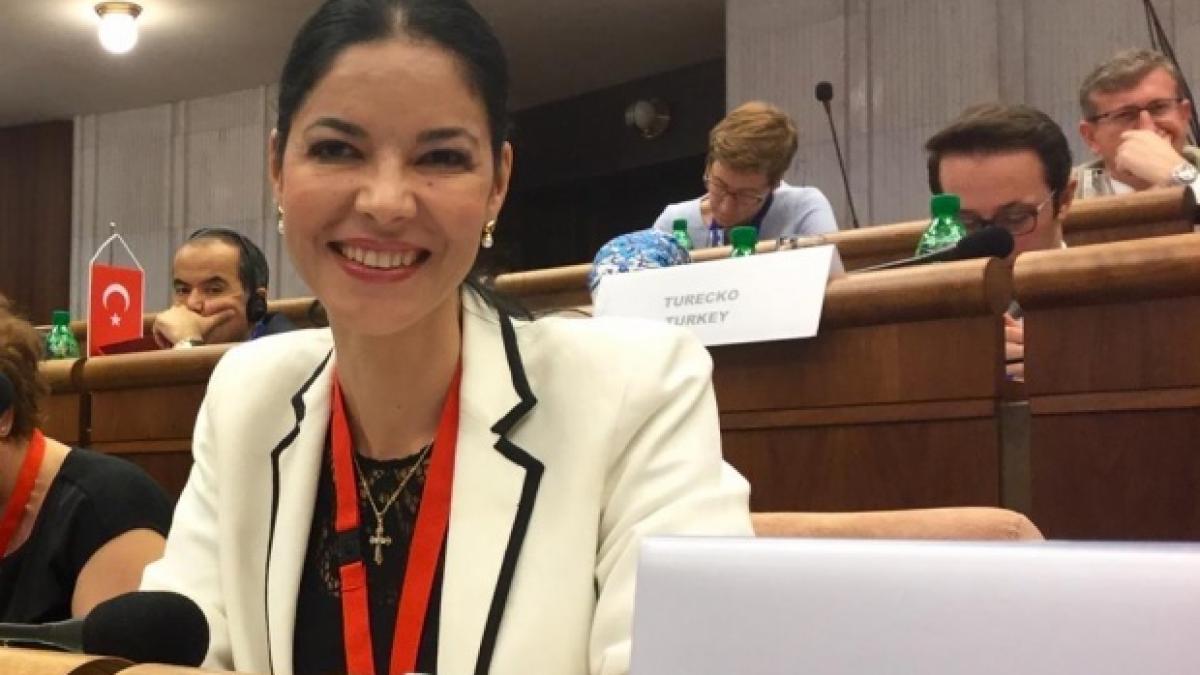 ana birchall aviz pozitiv in comisiile parlamentare de specialitate