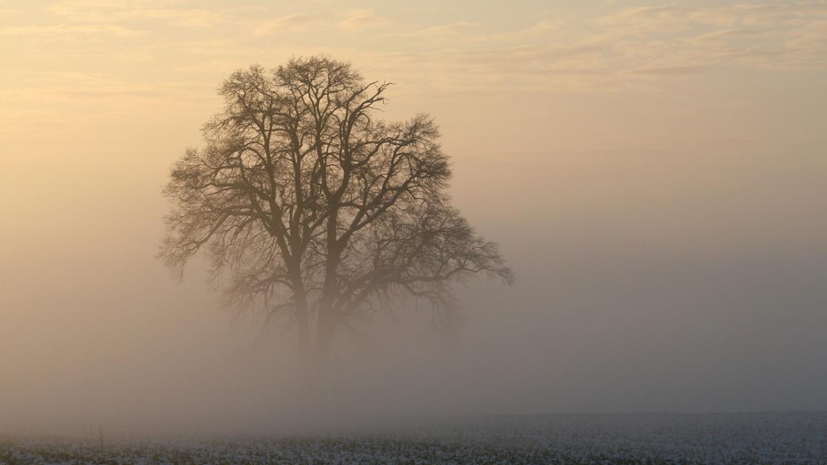 avertizare de fenomene meteo imediate e cod galben de viscol