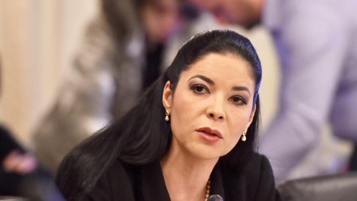 ce s a intamplat la audierea anei birchall un deputat a iesit din sala