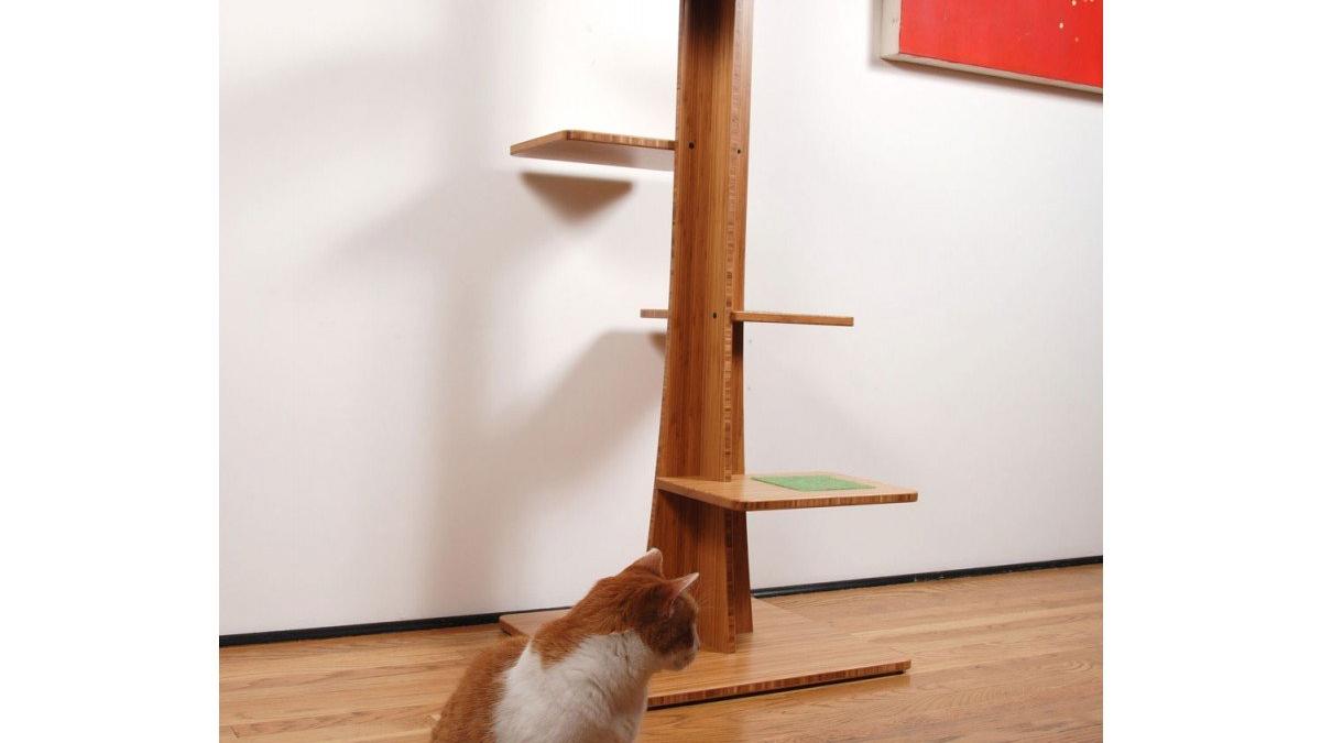 de ce trebuie sa casti ochii cand comanzi ceva pe internet e uluitor cum poti fi pacalit