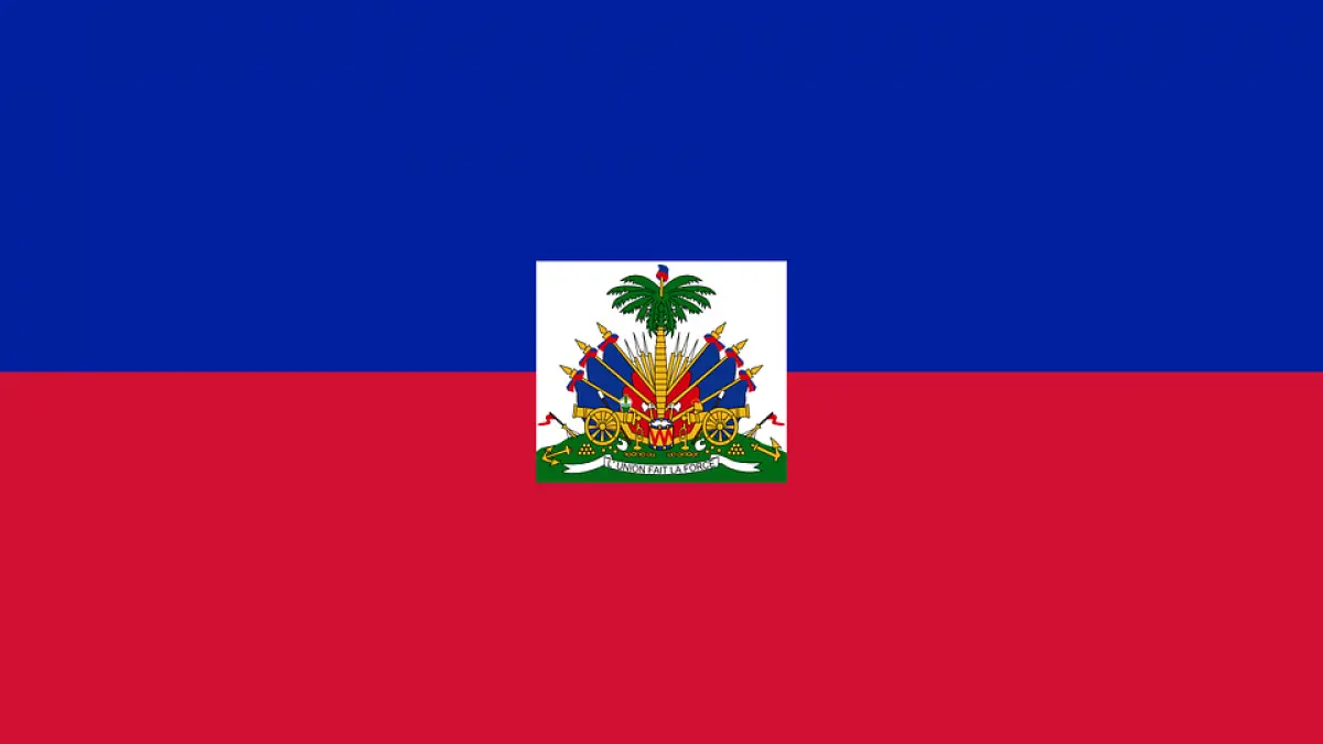 republica haiti are presedinte jovenel moise a castigat alegerile cu 55 60
