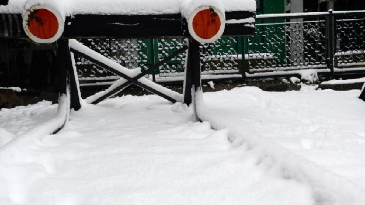 cfr calatori anuleaza 25 de trenuri vineri din cauza conditiilor meteo
