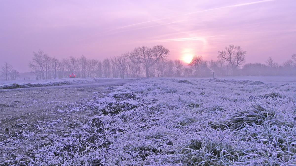 haos pe soselele din romania viscolul si ninsorile abundente au paralizat traficul