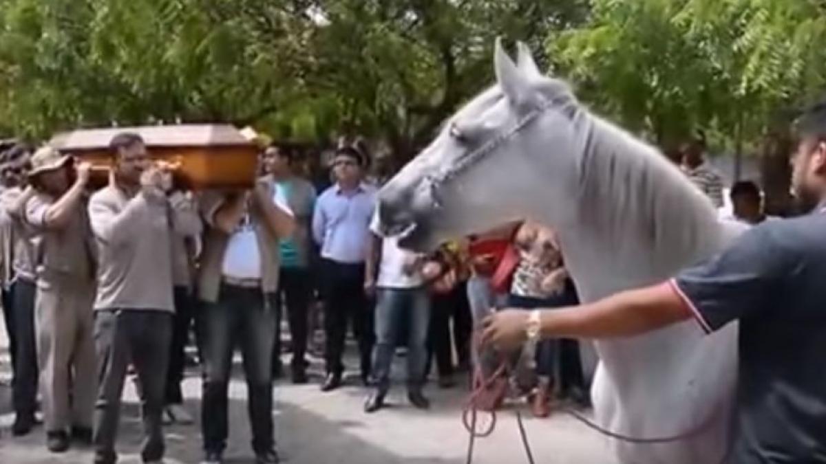 isi ducea fratele pe ultimul drum si i a adus calul credincios sa isi ia ramas bun toti au inceput