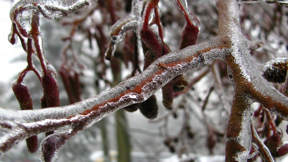 alerta meteo cod galben de ger in toata tara in urmatoarele trei zile