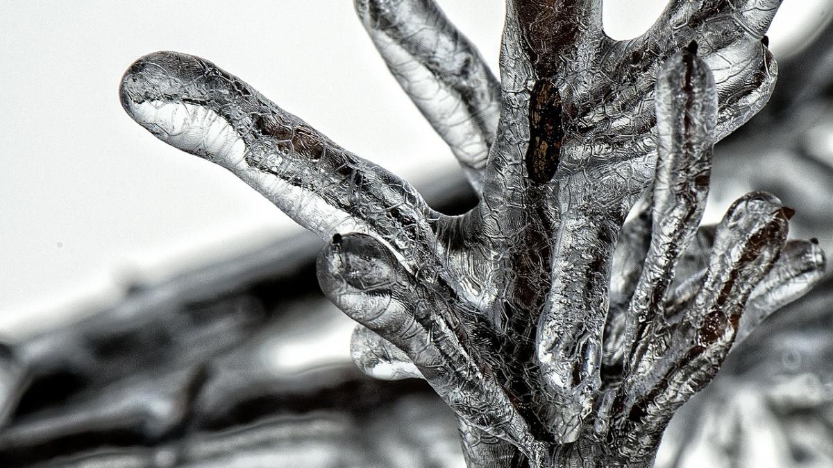 marti dimineata probabil cea mai geroasa dimineata din aceasta iarna anm estimeaza 28 de grade