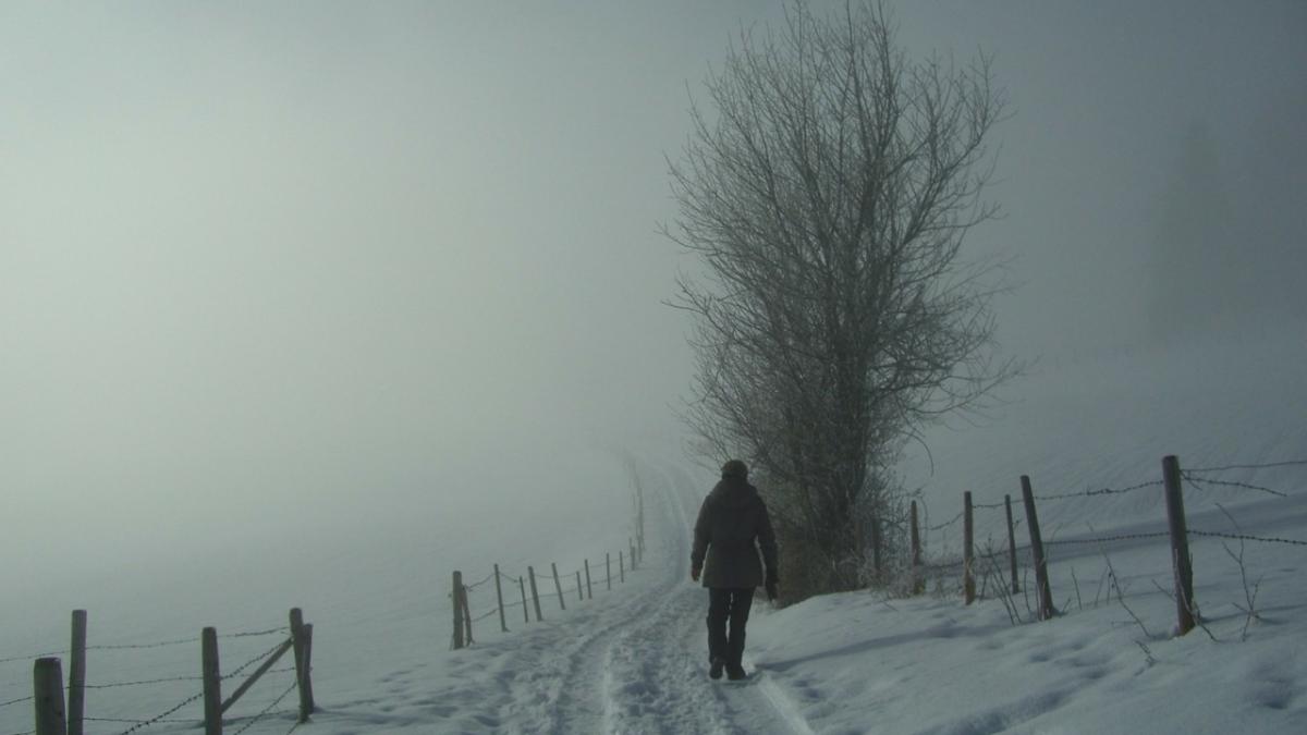 cel putin 21 de oameni au murit in europa din cauza gerului